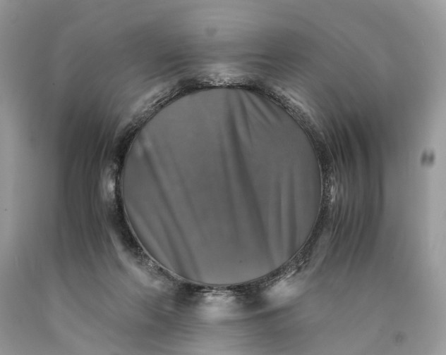 X0000089920214200707201825