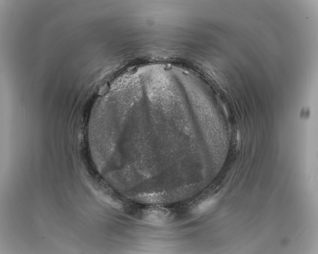 X0000089920215200707201825