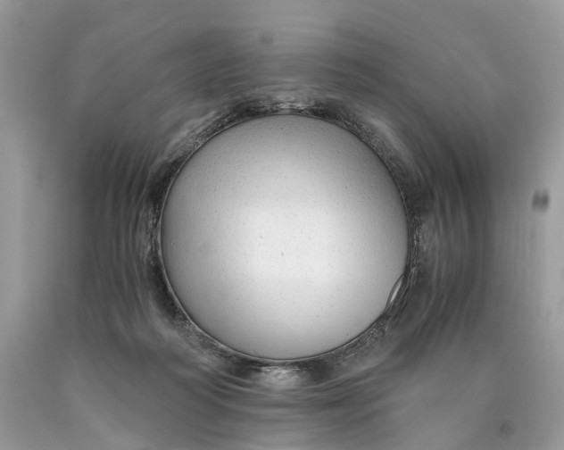 X0000089920218200707201825