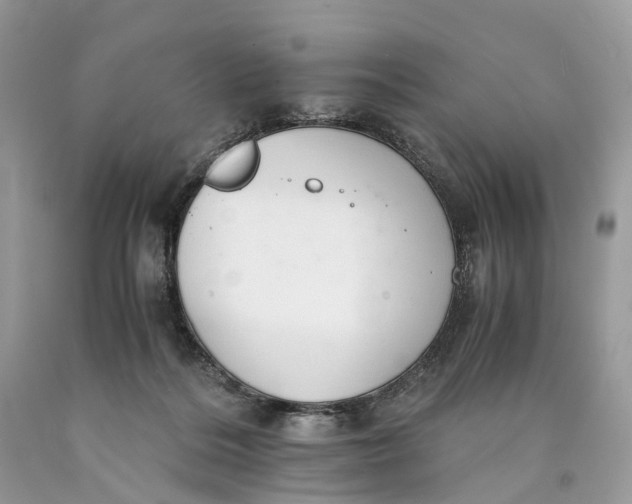 X0000089920220200707201825