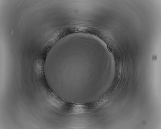 X0000089920222200707201825