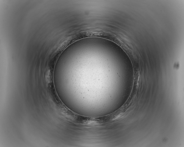 X0000089920224200707201825