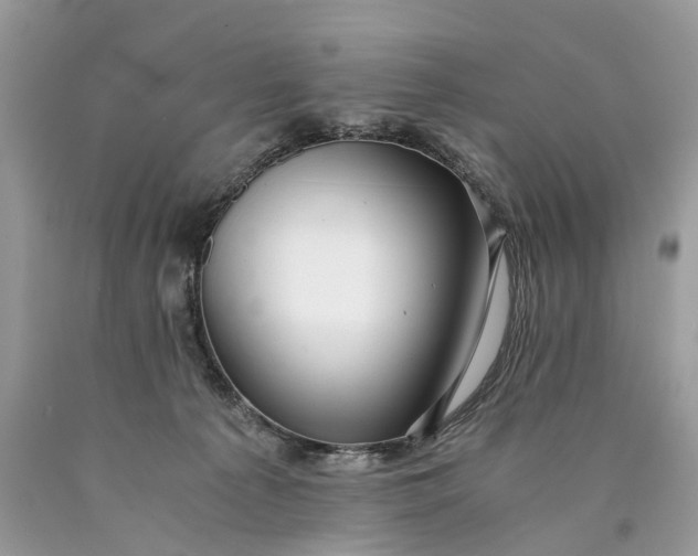 X0000089920225200707201825