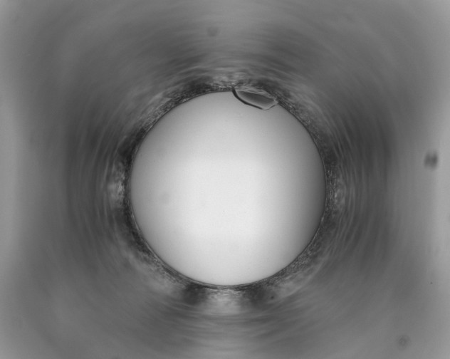 X0000089920226200707201825