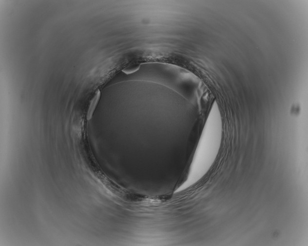 X0000089920227200707201825