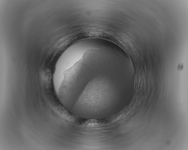 X0000089920228200707201825