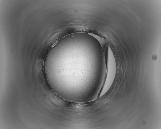 X0000089920229200707201825