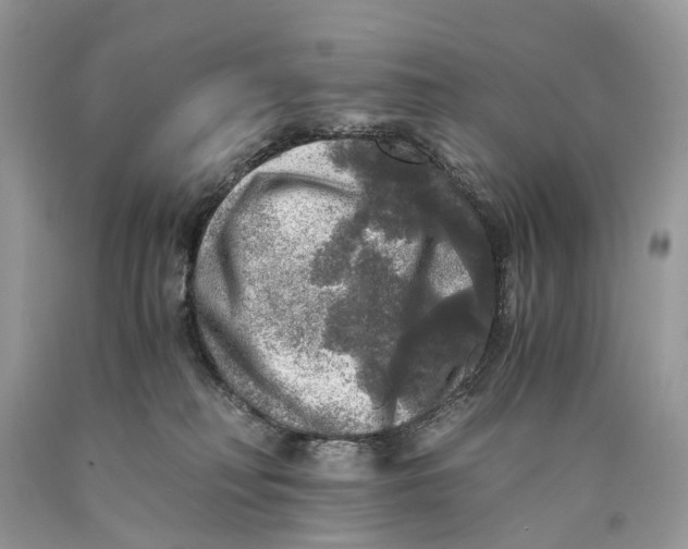 X0000089920230200707201825