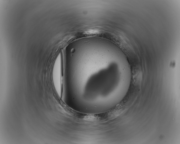 X0000089920231200707201825