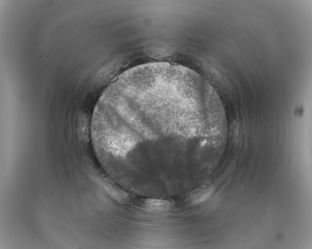 X0000089920234200707201825