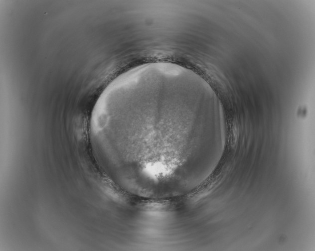 X0000089920236200707201825