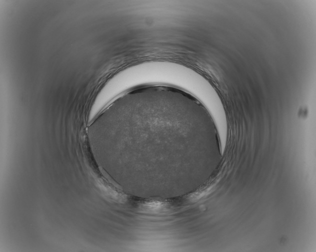 X0000089920237200707201825