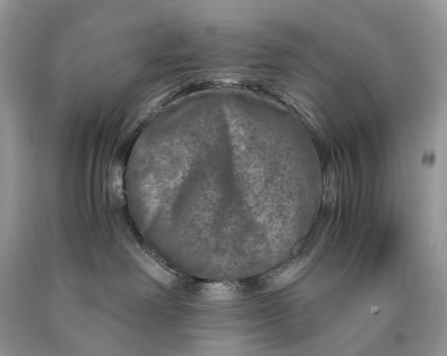 X0000089920238200707201825