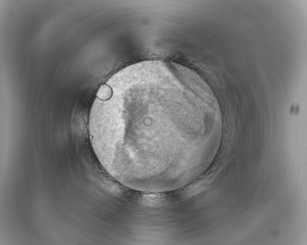 X0000089920240200707201825