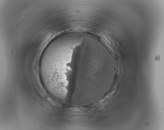 X0000089920241200707201824