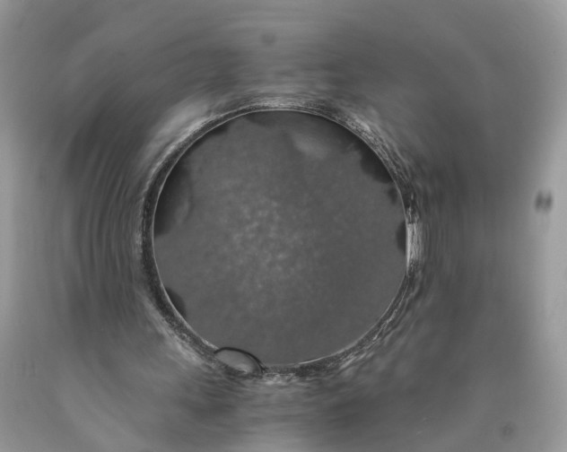 X0000089920243200707201824