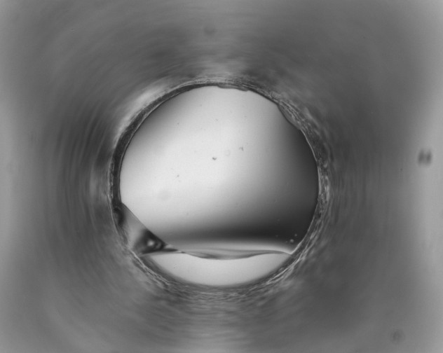 X0000089920244200707201824