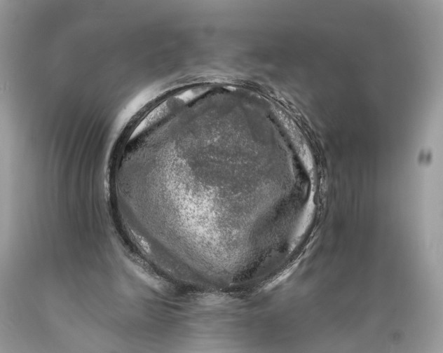 X0000089920246200707201824