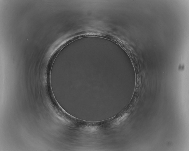 X0000089920247200707201824