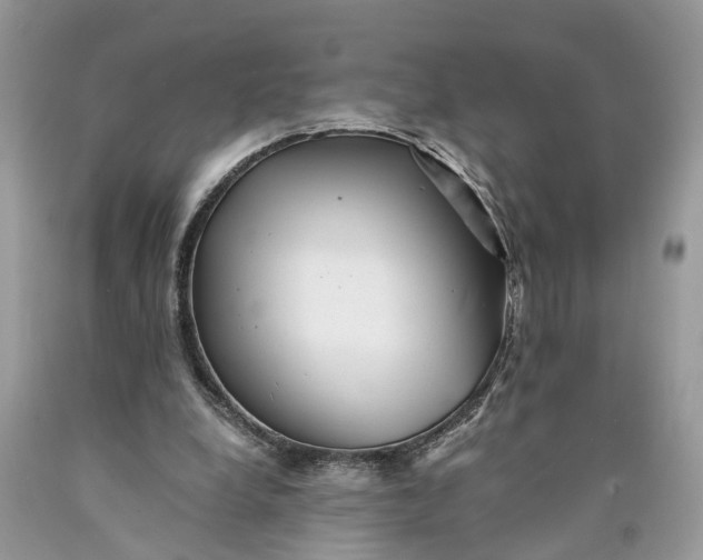 X0000089920248200707201824