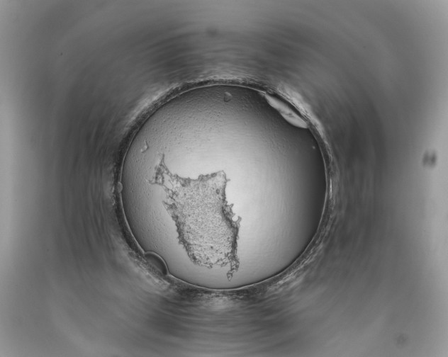 X0000089920249200707201824