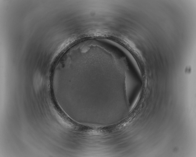 X0000089920250200707201824