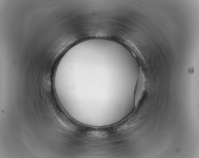 X0000089920251200707201824