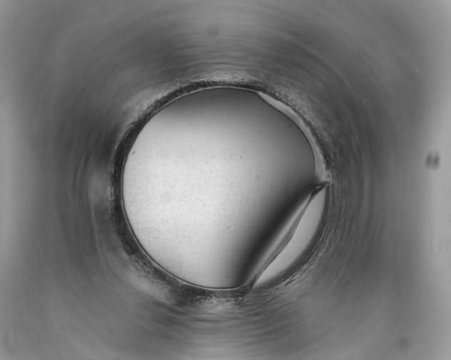 X0000089920252200707201824