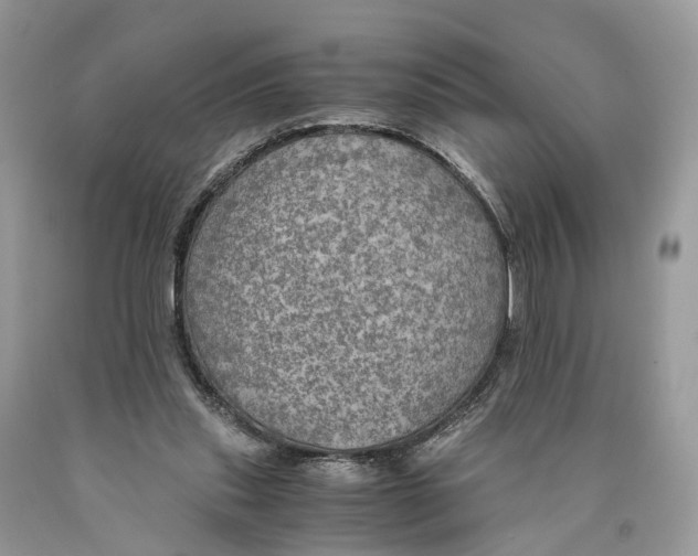 X0000089920253200707201824