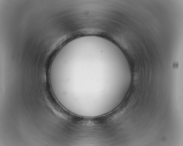 X0000089920254200707201824