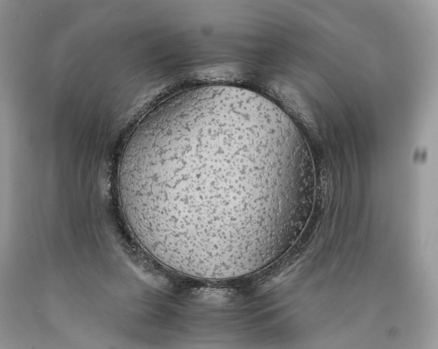 X0000089920255200707201824