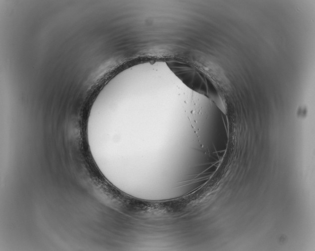 X0000089920256200707201824