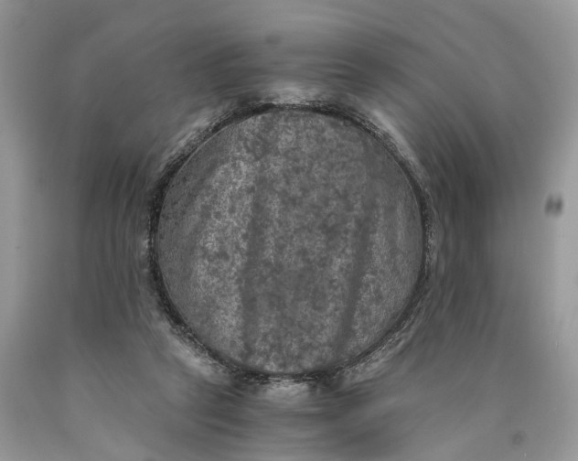 X0000089920257200707201824