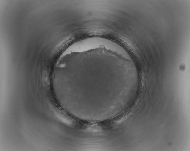 X0000089920258200707201824