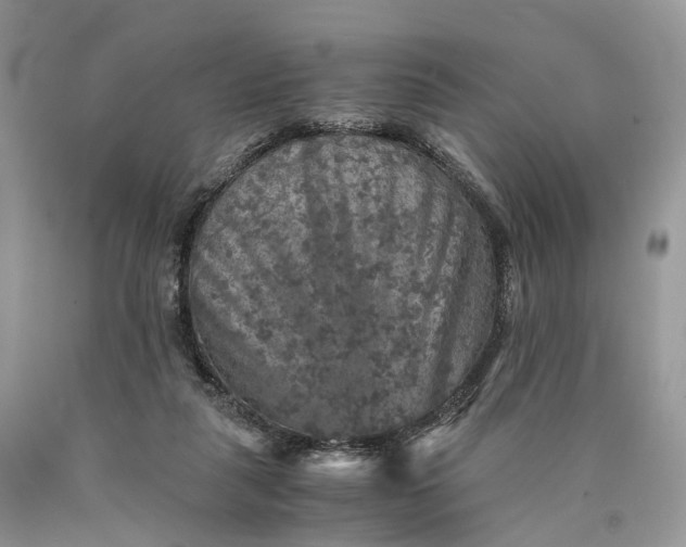 X0000089920259200707201824