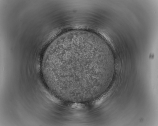 X0000089920261200707201824