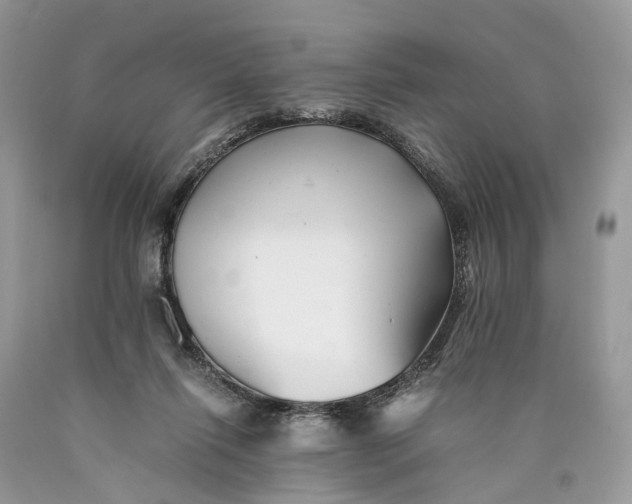 X0000089920262200707201824