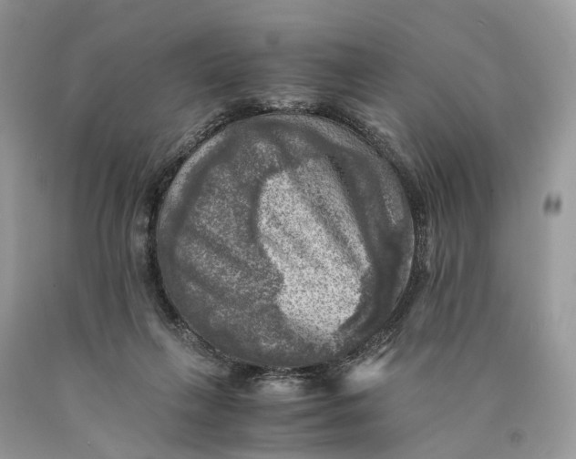 X0000089920263200707201824