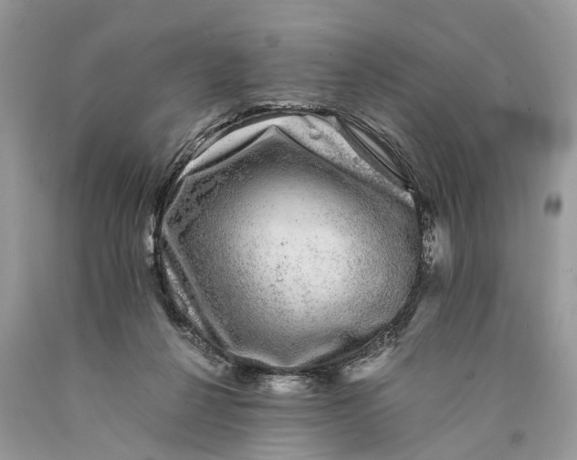 X0000089920264200707201824