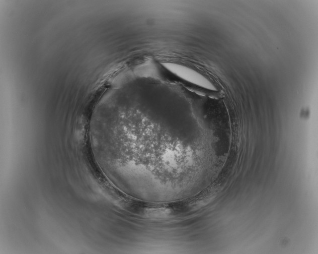 X0000089920266200707201824