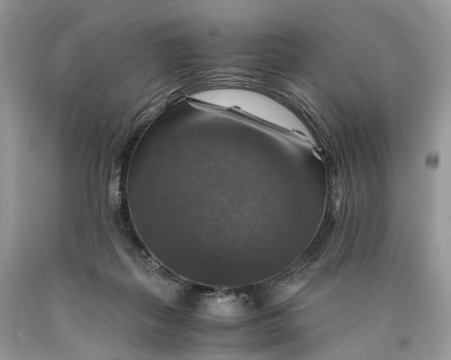 X0000089920267200707201824