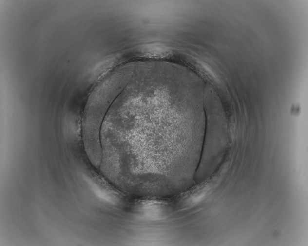 X0000089920268200707201824