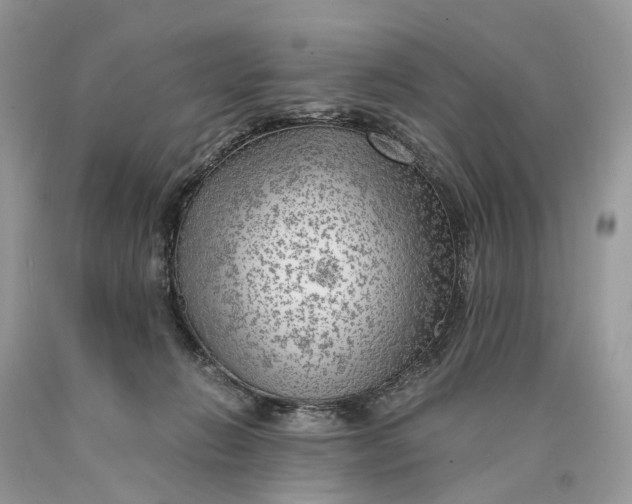 X0000089920270200707201824