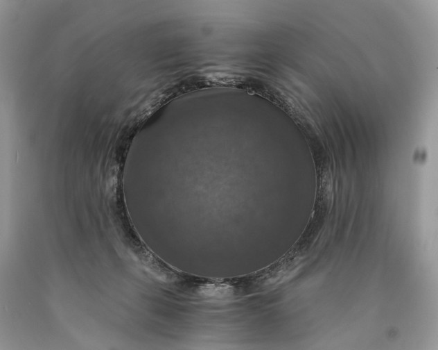 X0000089920271200707201825