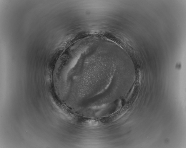 X0000089920272200707201825