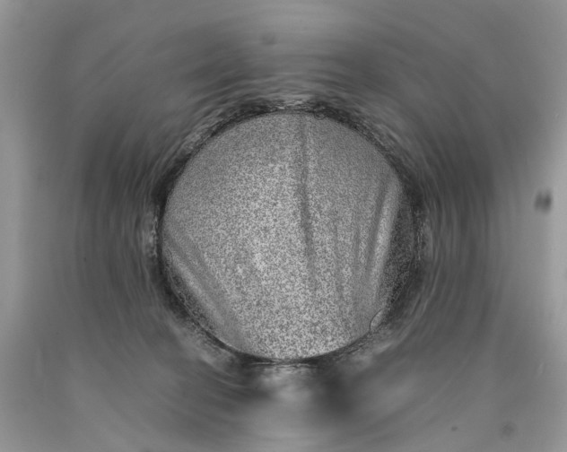 X0000089920274200707201825