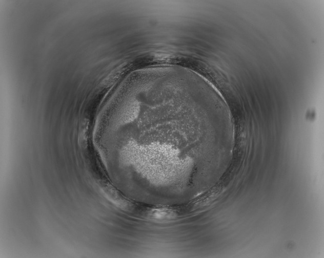 X0000089920275200707201825