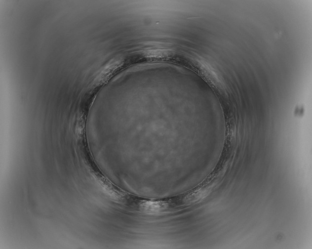 X0000089920277200707201825