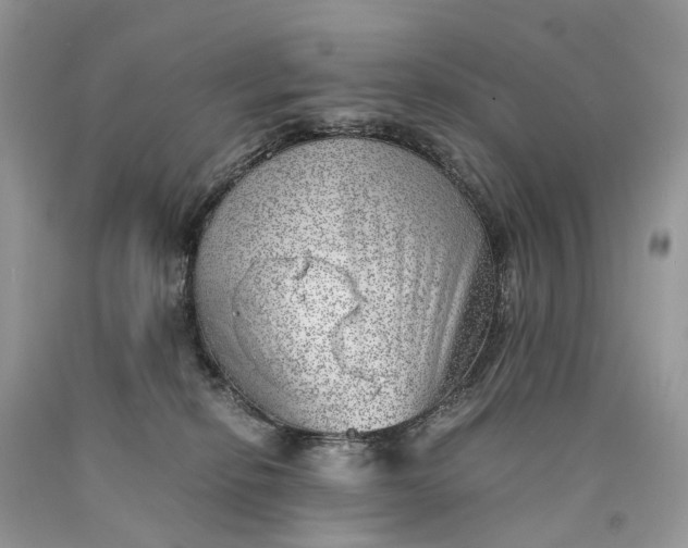 X0000089920278200707201825