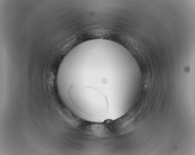 X0000089920279200707201825